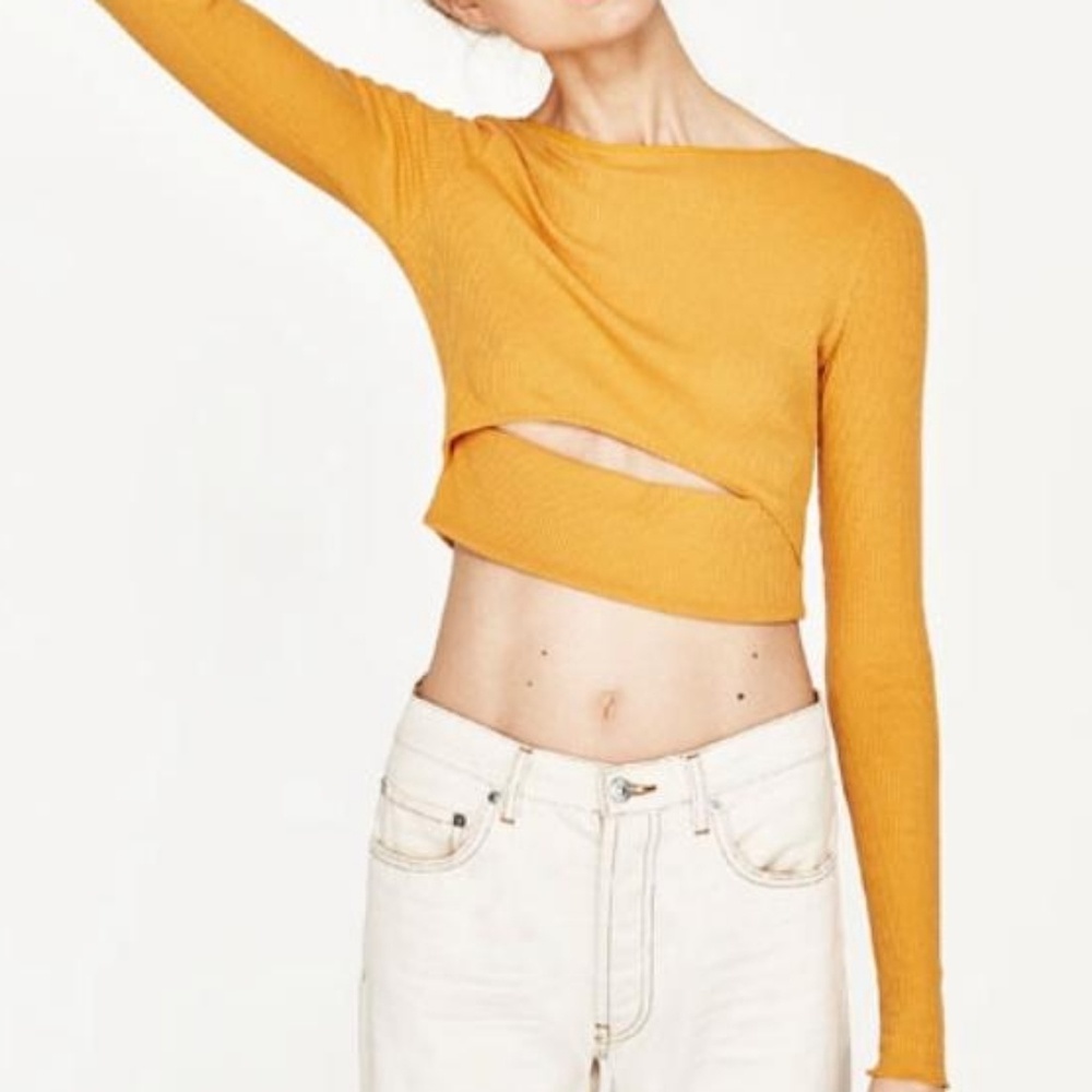 Nwt zara cropped long sleeve